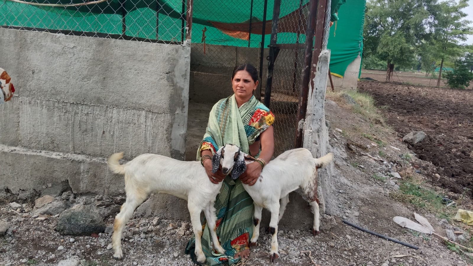 Goat Project